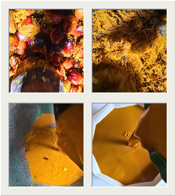 Palm nut preparation