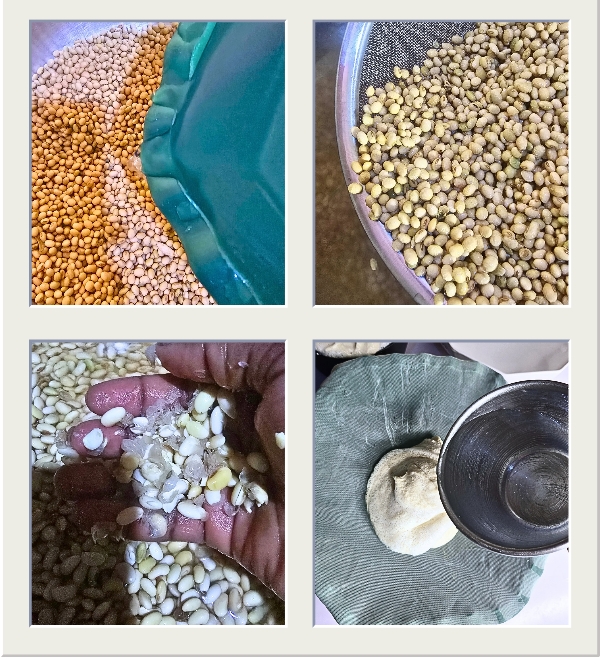 Washing-and-soaking-of-awara-beans