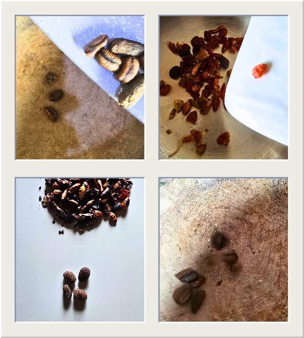 How to Prepare Ugba Steps