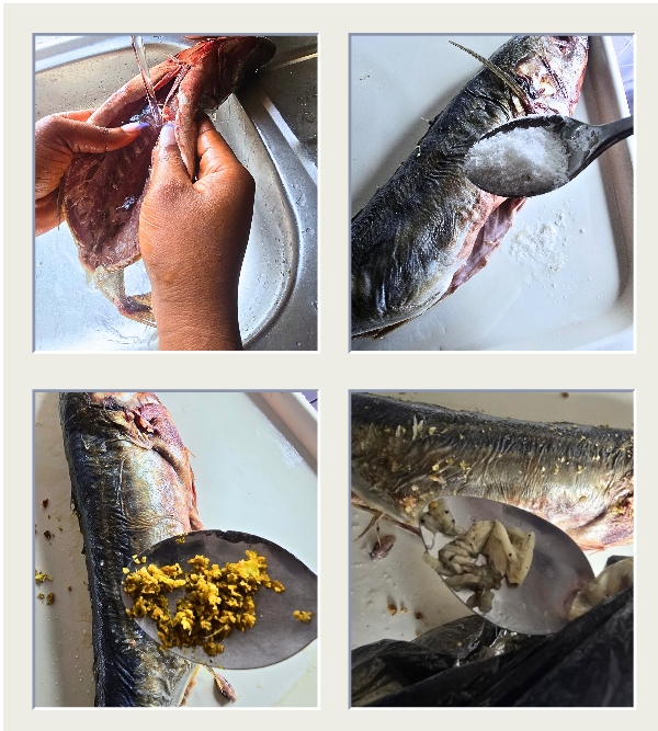Cleaning of the fish for grilling