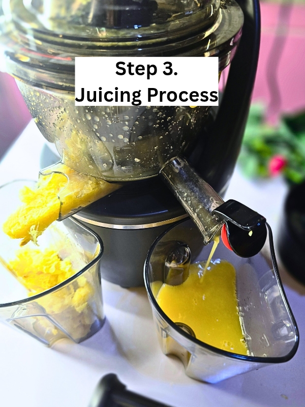 Juicing Process of natural drink