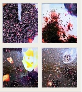 How-to-make-Hibiscus-Drink- Procedure