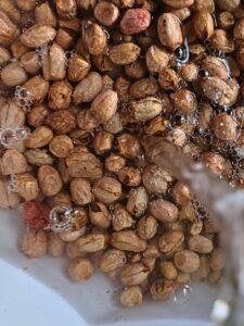 How to roast peanuts at home