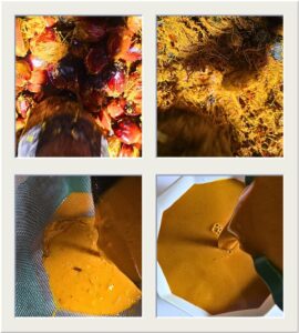 Authentic Cocoyam Soup Recipe