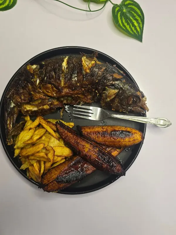 Grilled Fish with Oven