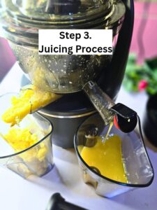Juicing Process of natural drink